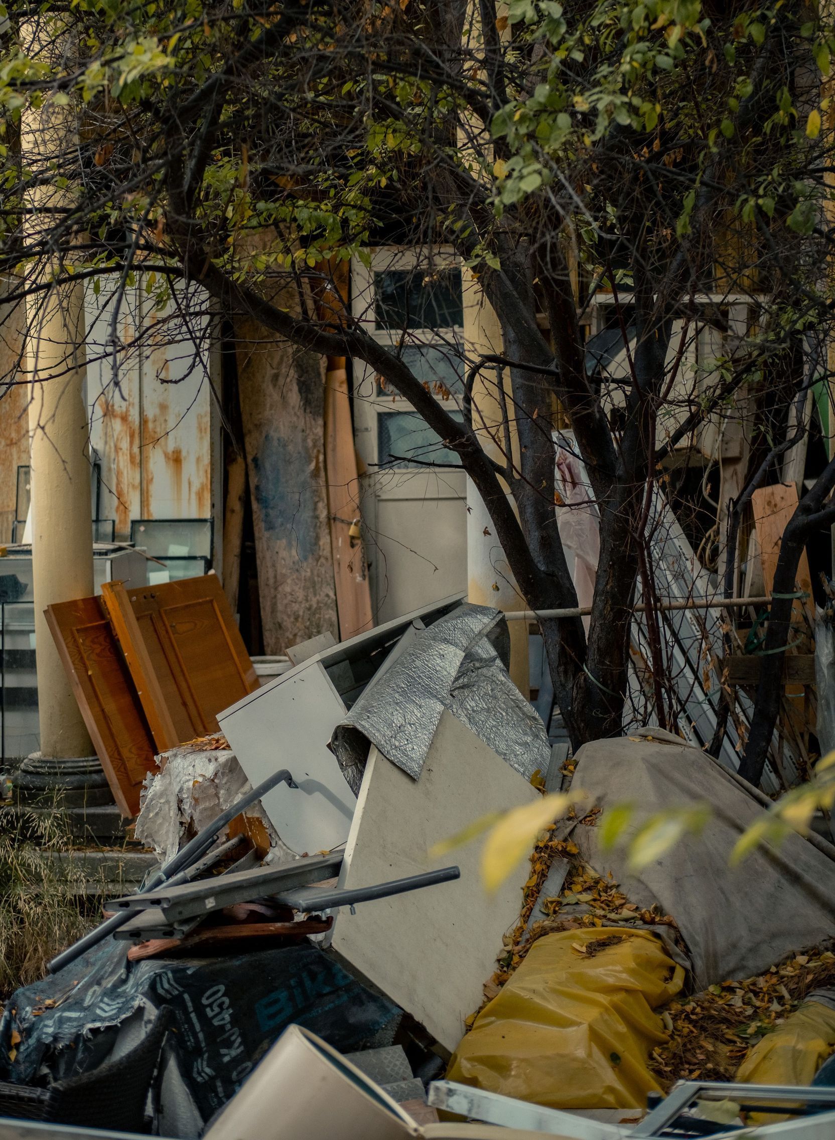 Overgrown vegetation in an abandoned urban area with scattered debris
